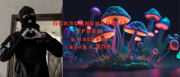 apvp Абаза
