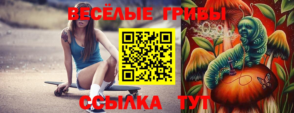 Дербент  Псилоцибиновые грибы ЛСД  что такое   Вход с VPN  Псилоцибиновые грибы Psilocybine cubensis 