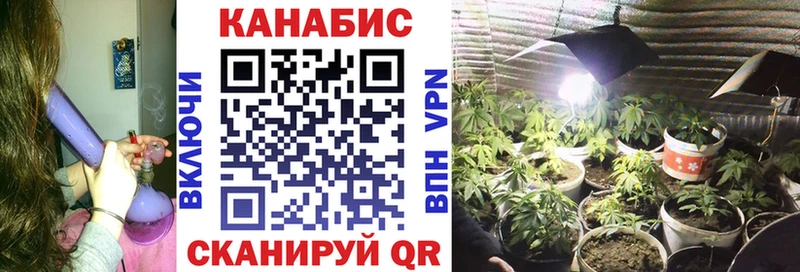 Шишки марихуана VHQ  хочу   Дербент 